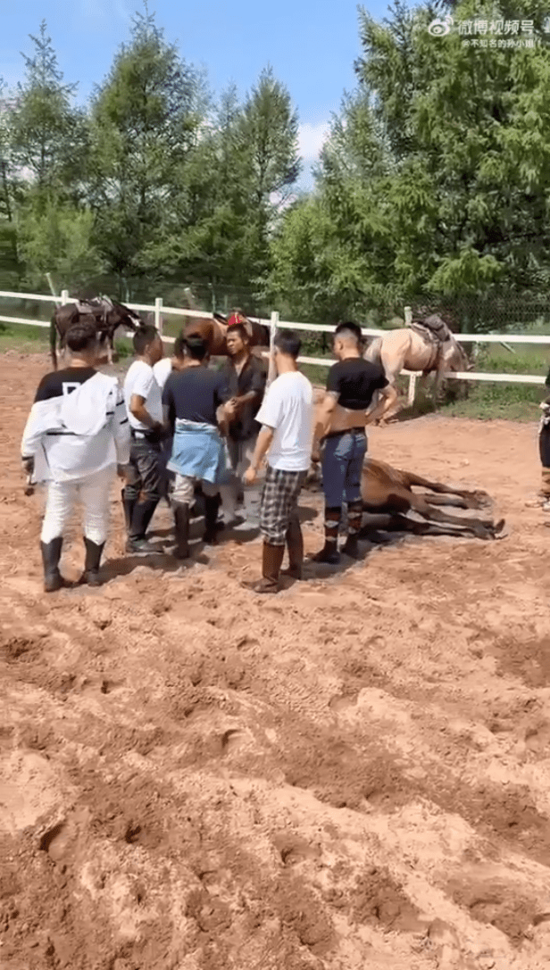 遊客及民宿方面發生爭執。