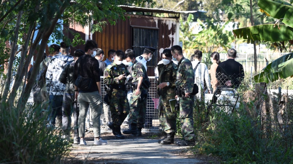 現場為打鼓嶺蓮麻坑鳳凰湖一農場。資料圖片