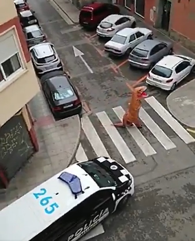 有穿著成暴龍的民眾外出逛街。「Policía Local Murcia」twitter影片截圖