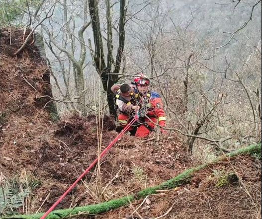 江西有男童因逗玩幼猴，被母猴拉落10米悬崖。