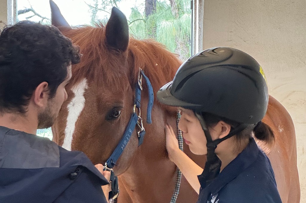 課程包含豐富的馬匹實踐與培訓,畢業生更有機會加入香港賽馬會獸醫團隊成為馬匹獸醫。 課程包含豐富的馬匹實踐與培訓,畢業生更有機會加入香港賽馬會獸醫團隊成為馬匹獸醫。