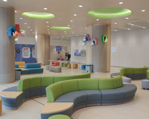 香港兒童醫院作為第三層專科轉介中心，會集中處理需要跨專科治理的嚴重、複雜及患不常見疾病的兒科病人。