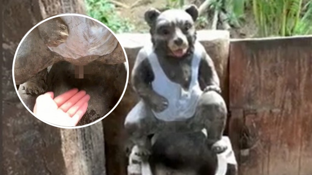 網民熱議紛紛轟裝置低俗。網圖