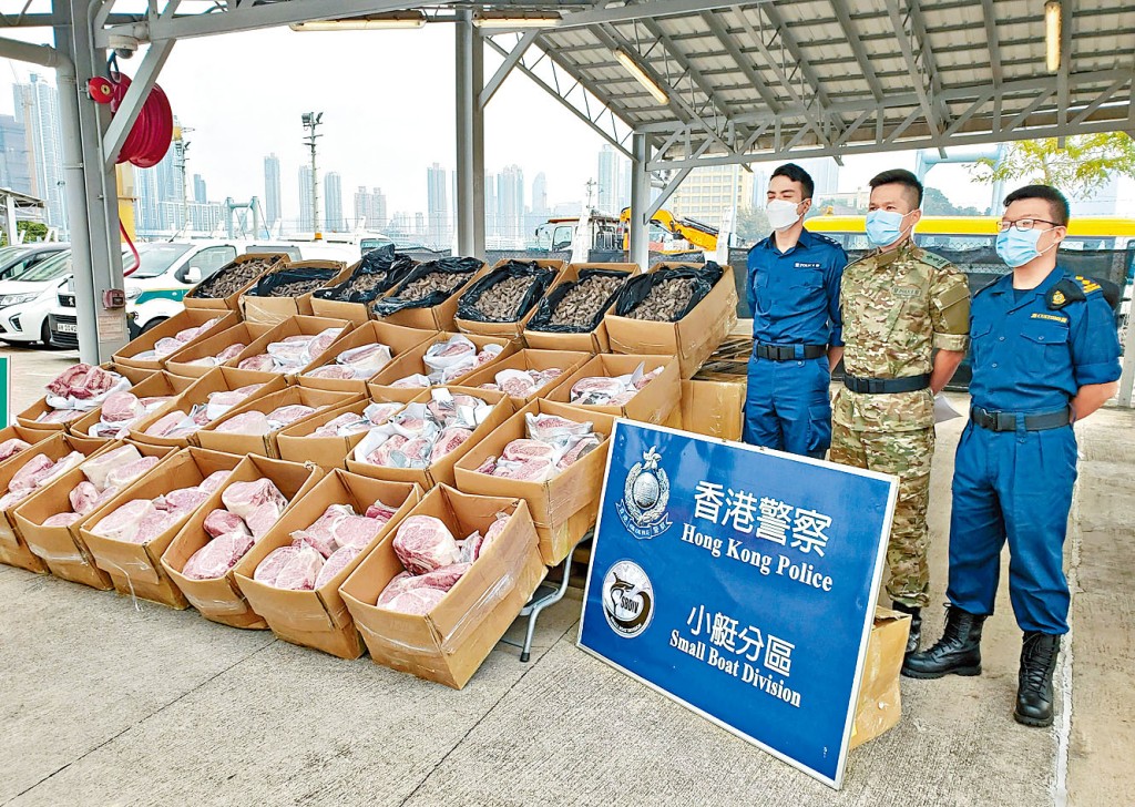 ■水警及海關人員展示搜獲的走私和牛及乾海參。