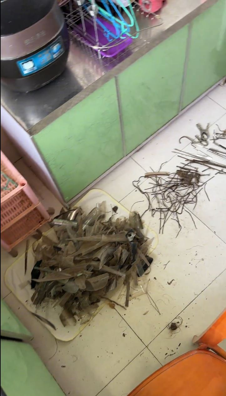 山东有民众有拆走喜鹊的鸟巢，遭封窗大报复。