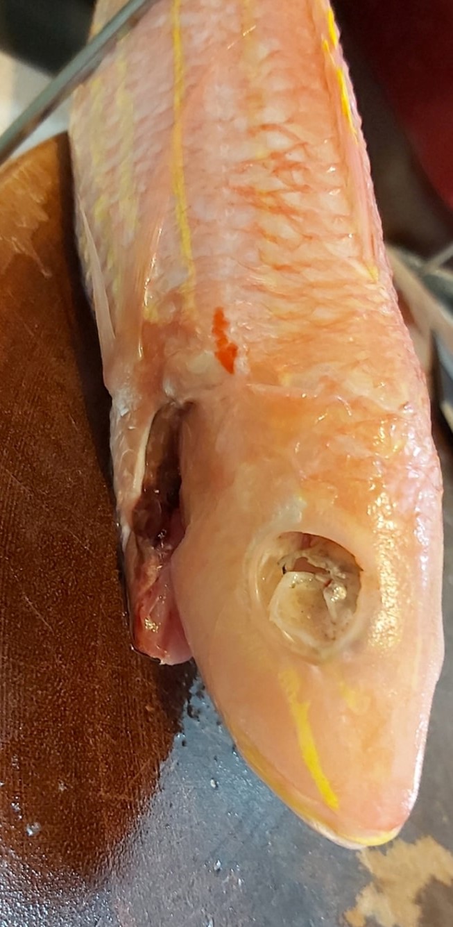 該條紅衫魚沒有魚眼。「香港街市魚類海鮮研究社」FB