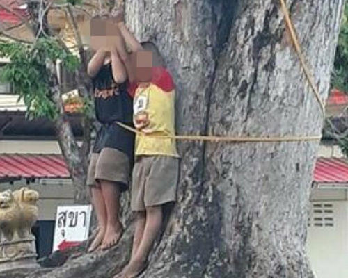 兩名男童被綁在大樹上打罵。 網圖