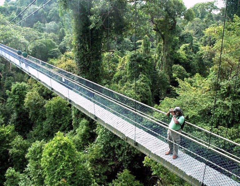 麥里芝蓄水池是新加坡最大的水庫，周邊是公園和自然保育區。（Singapore National Parks）