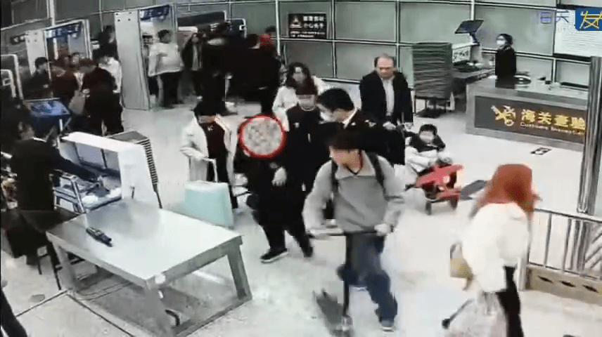 女子背包藏10活蜥蜴闯关被截查。