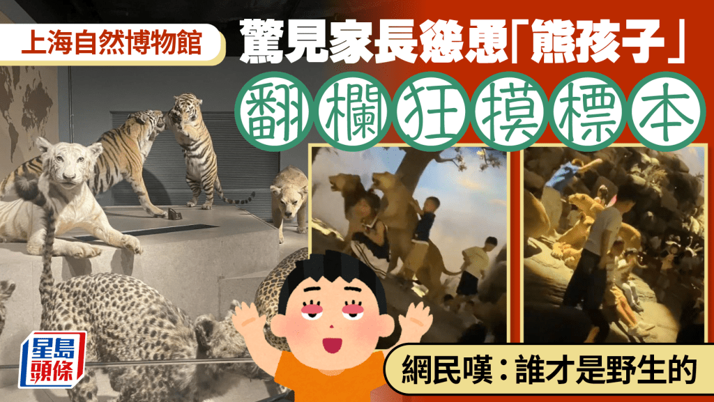 上海自然博物館︱熊孩集體越欄亂摸猛獸標本  網民：誰才是野生的
