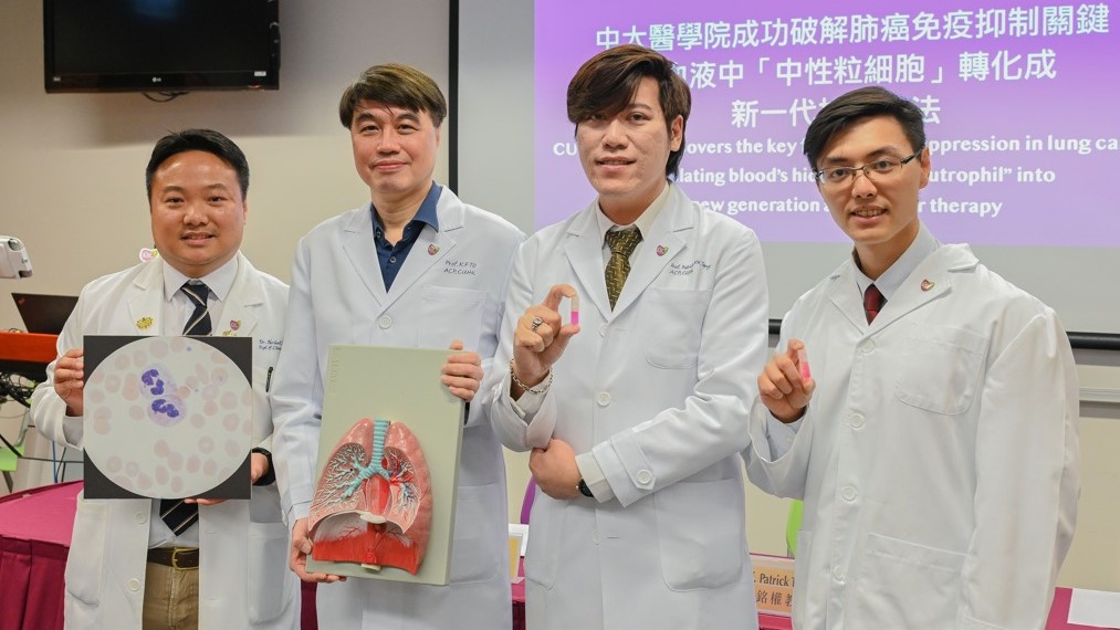 香港中文大學醫學院一項最新研究發現，血液中最豐富的免疫細胞「中性粒細胞」（neutrophils）在肺癌中擔當重要角色。中大供圖