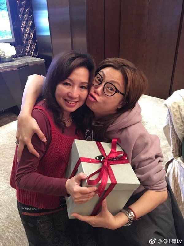 梅小青与胞妹梅小惠曾一同在在TVB工作。