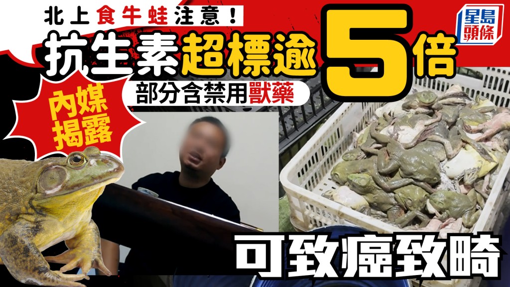 北上食牛蛙注意！揭抗生素超标逾5倍 部分含禁用兽药 专家警告可致癌致畸