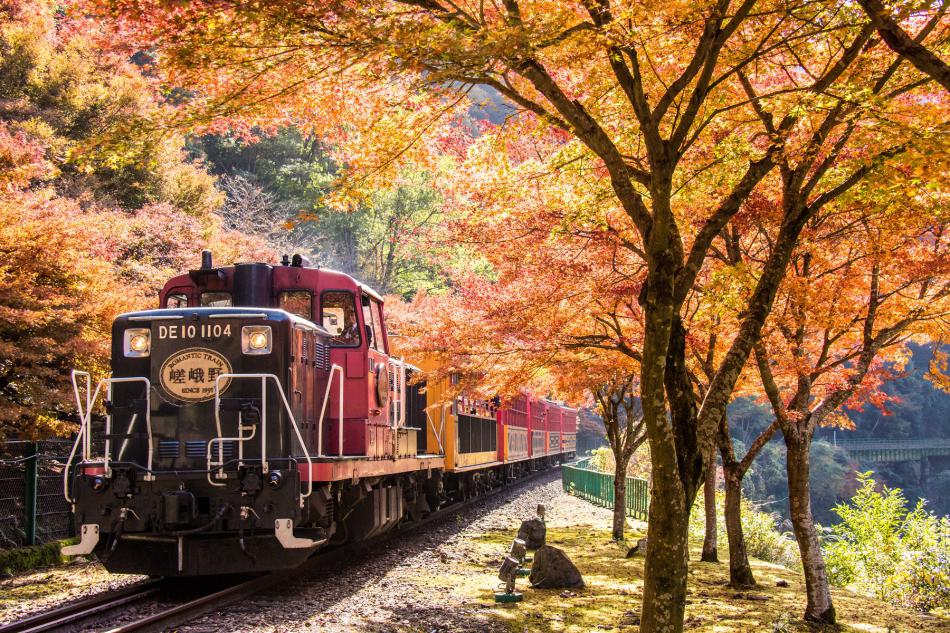 嵯峨野小火车，在红叶档期经常一位难求。