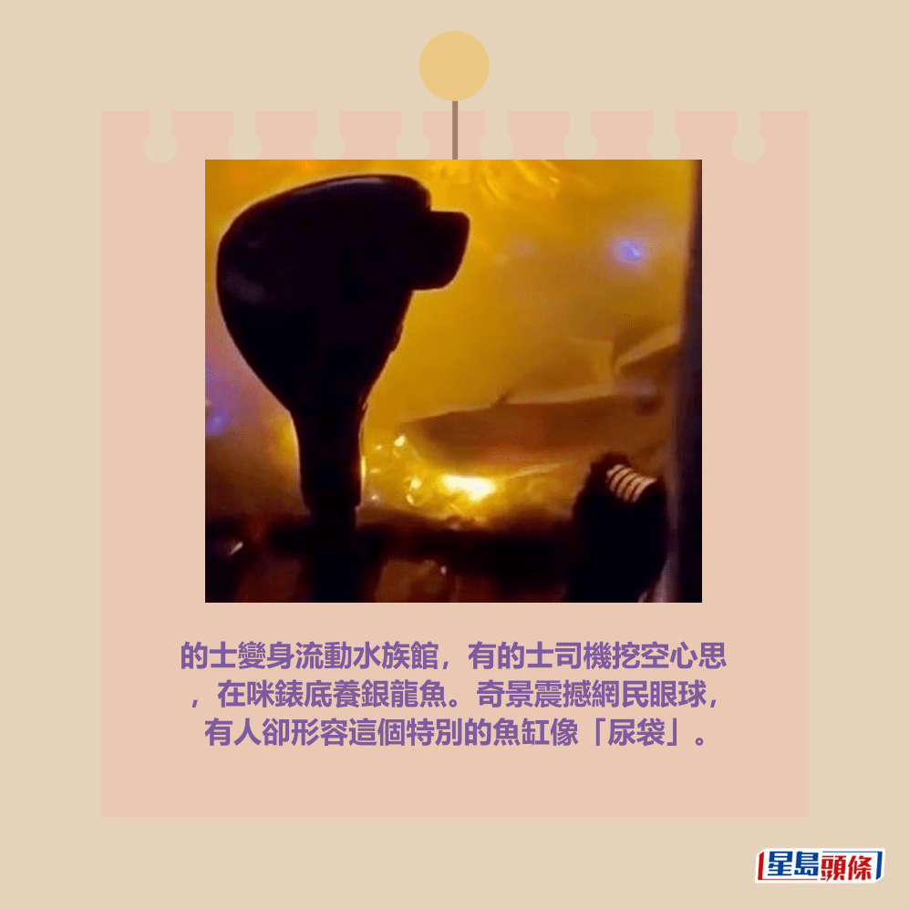 的士變身流動水族館，有的士司機挖空心思 ，在咪錶底養銀龍魚。奇景震撼網民眼球， 有人卻形容這個特別的魚缸像「尿袋」。Threads截圖