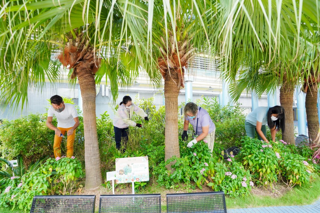義工每月會到蝴蝶園清理雜草枯花，改善蝴蝶及植物棲息地。