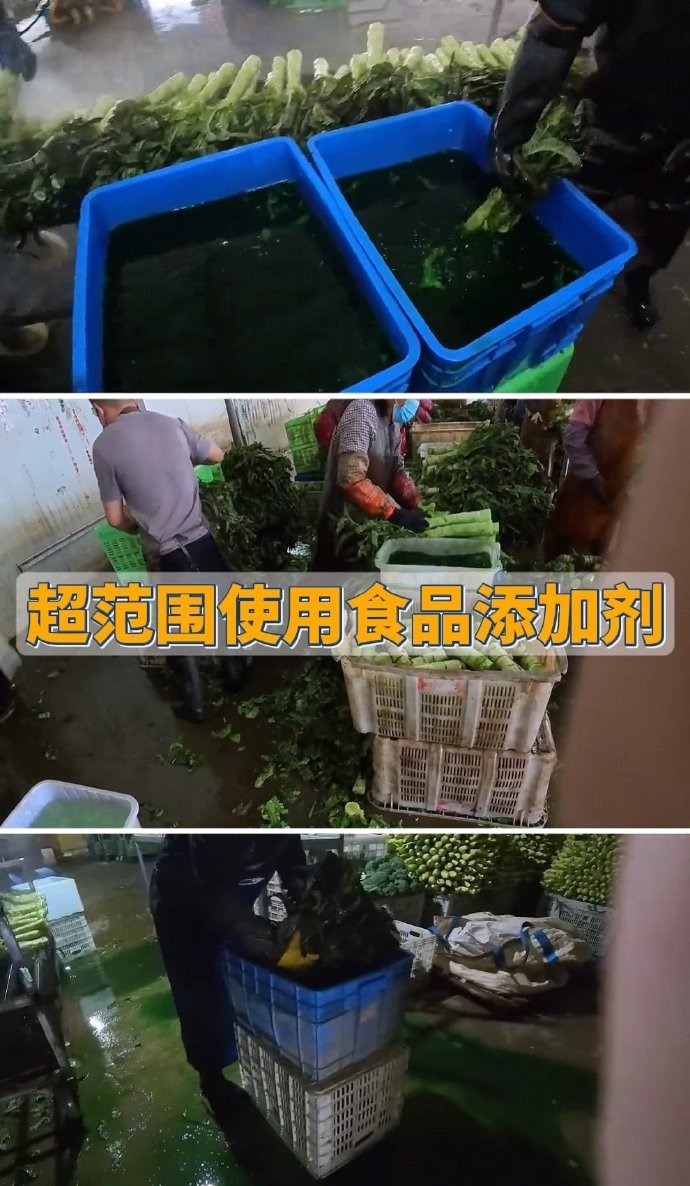 甘肅蘭州驚現「染色萵筍」食安問題。微博@小張同學