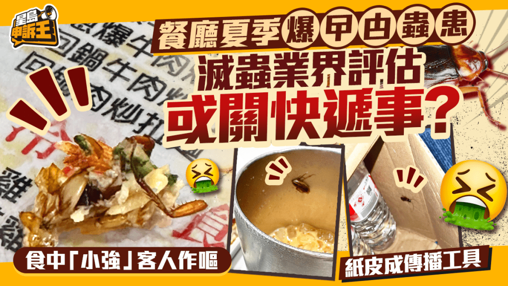 星島申訴王 | 餐廳夏季爆曱甴蟲患 滅蟲業界評估 或關快遞事?