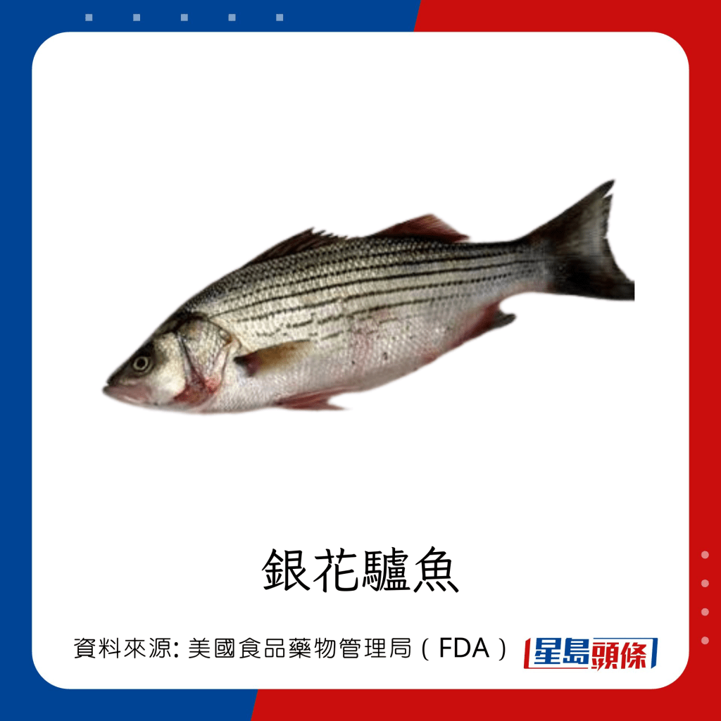 魚類水銀｜水銀含量中等的魚類：銀花驢魚