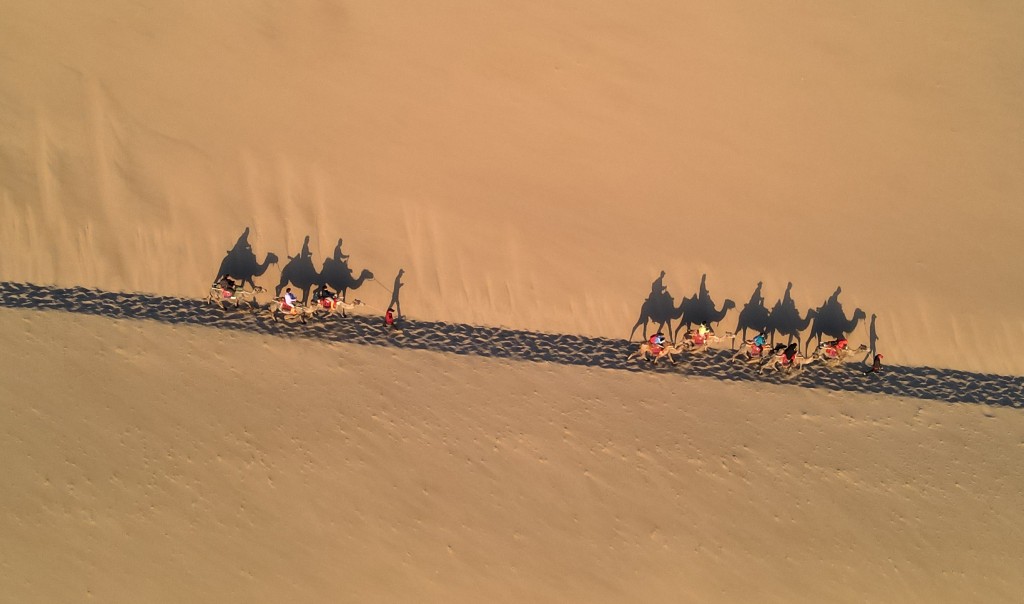 甘肅敦煌鳴沙山月牙泉景區有向遊客提供騎駱駝的項目。(新華社)