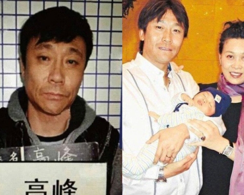 那英当年未婚为高峰诞下儿子高兴。（网图）