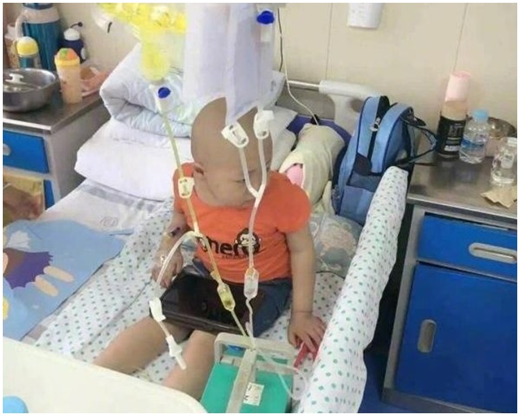 鮑鮑剃光了頭髮，每天在病床上度過。網圖