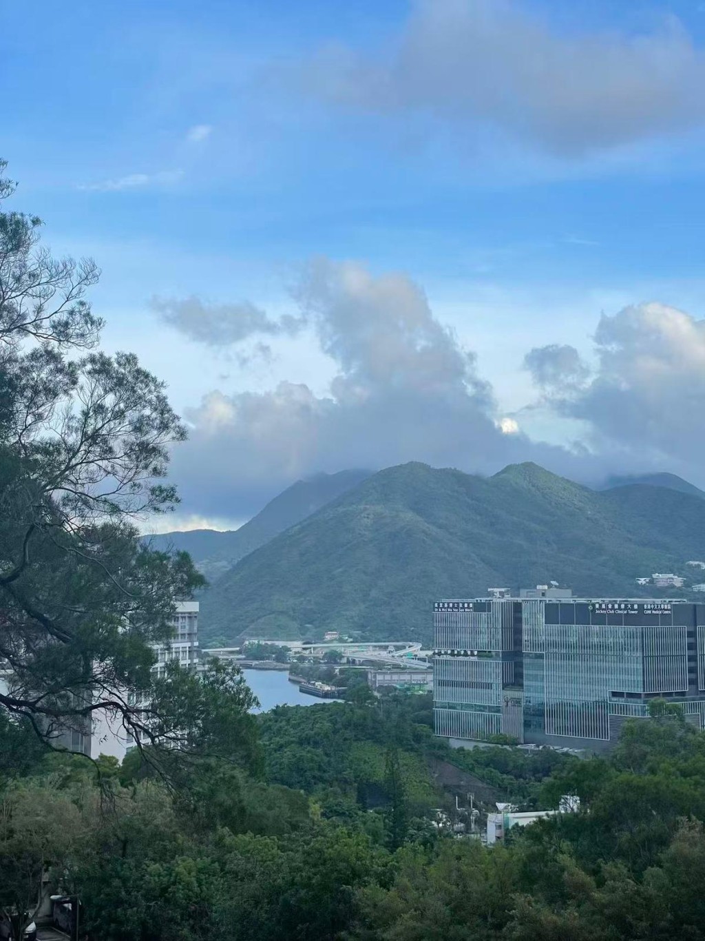 至于未来是否还愿意在香港工作，她表示自己曾坚定地想要留在香港，但经过近一年的努力与尝试，意识到有些困难很难改变。