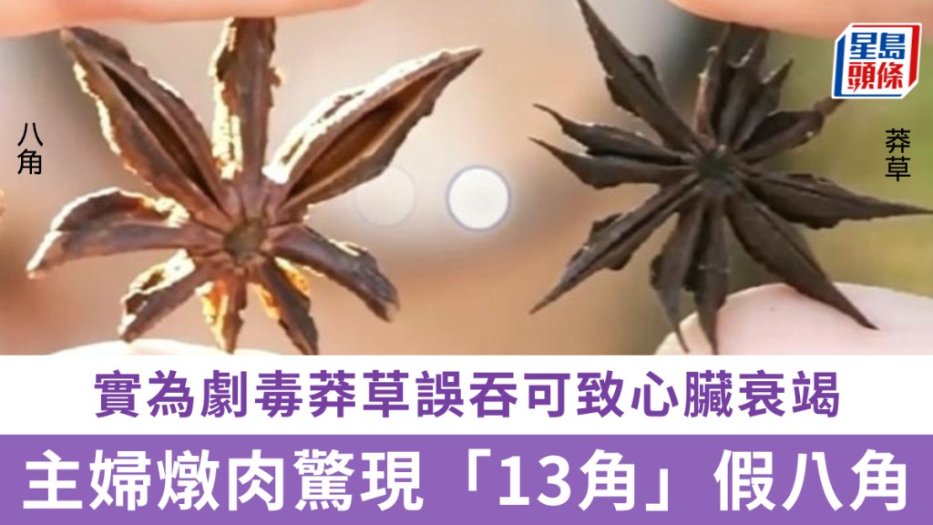假八角混入超市散裝香料，主婦燉肉驚現「13角」假八角，實為劇毒莽草誤吞可致心臟衰竭。