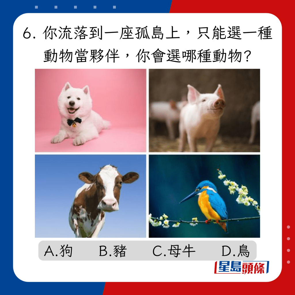 6. 你流落到一座孤岛上，只能选一种动物当夥伴，你会选哪种动物?