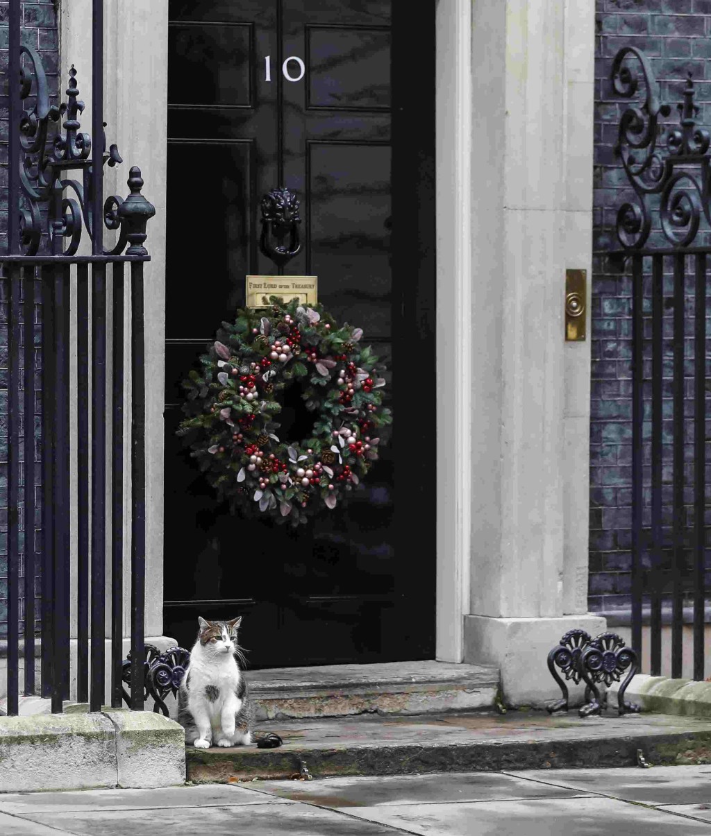 英國倫敦首相府的「首席捕鼠官」拉里站在唐寧街10號門前。