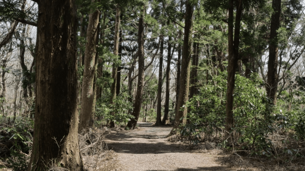 漢拏山於1970年3月被指定為國立公園。VISITKOREA網站