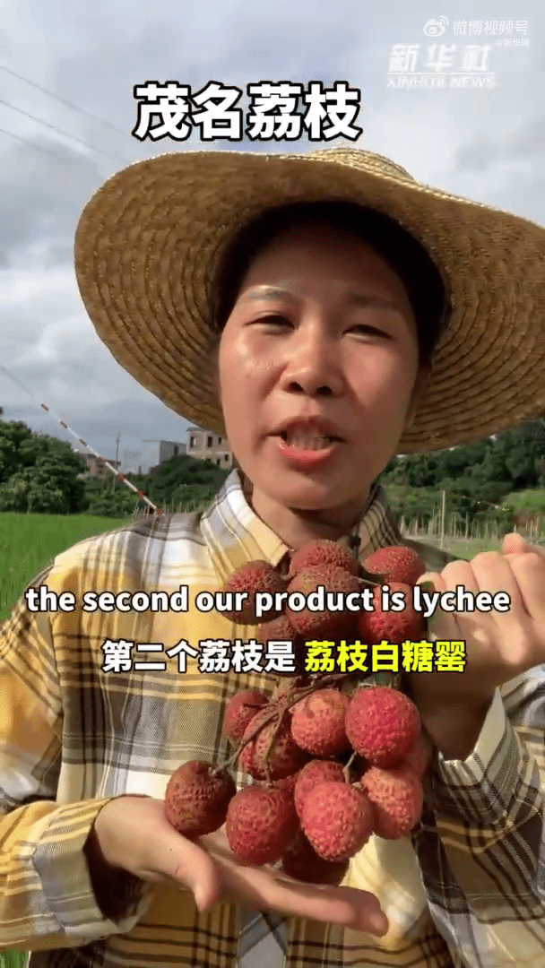 「90后」女孩「粤式英语」推「白糖罂」荔枝。