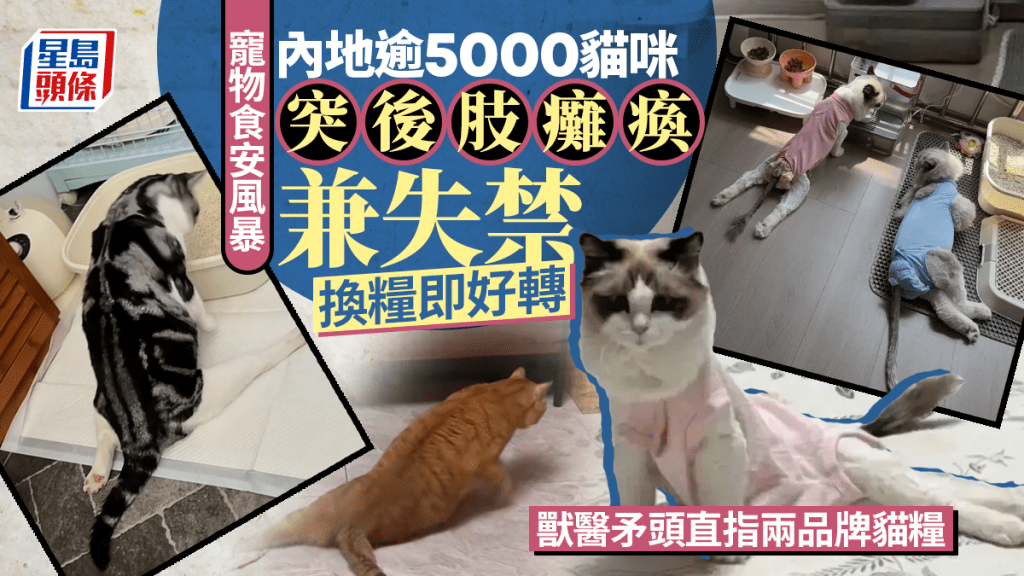 内地网民发布家中猫咪后腿发软、无法站立，只能用前肢拖行身体爬的影片。