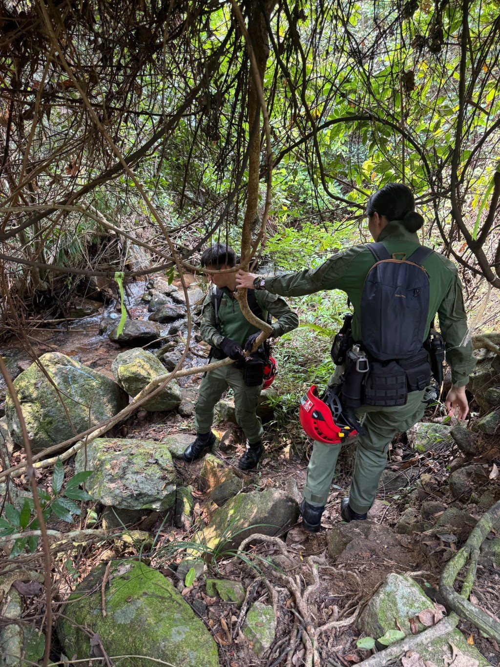 事發地方並不是主要行山路段,而且滿布密林且山勢崎嶇 事發地方並不是主要行山路段,而且滿布密林且山勢崎嶇
