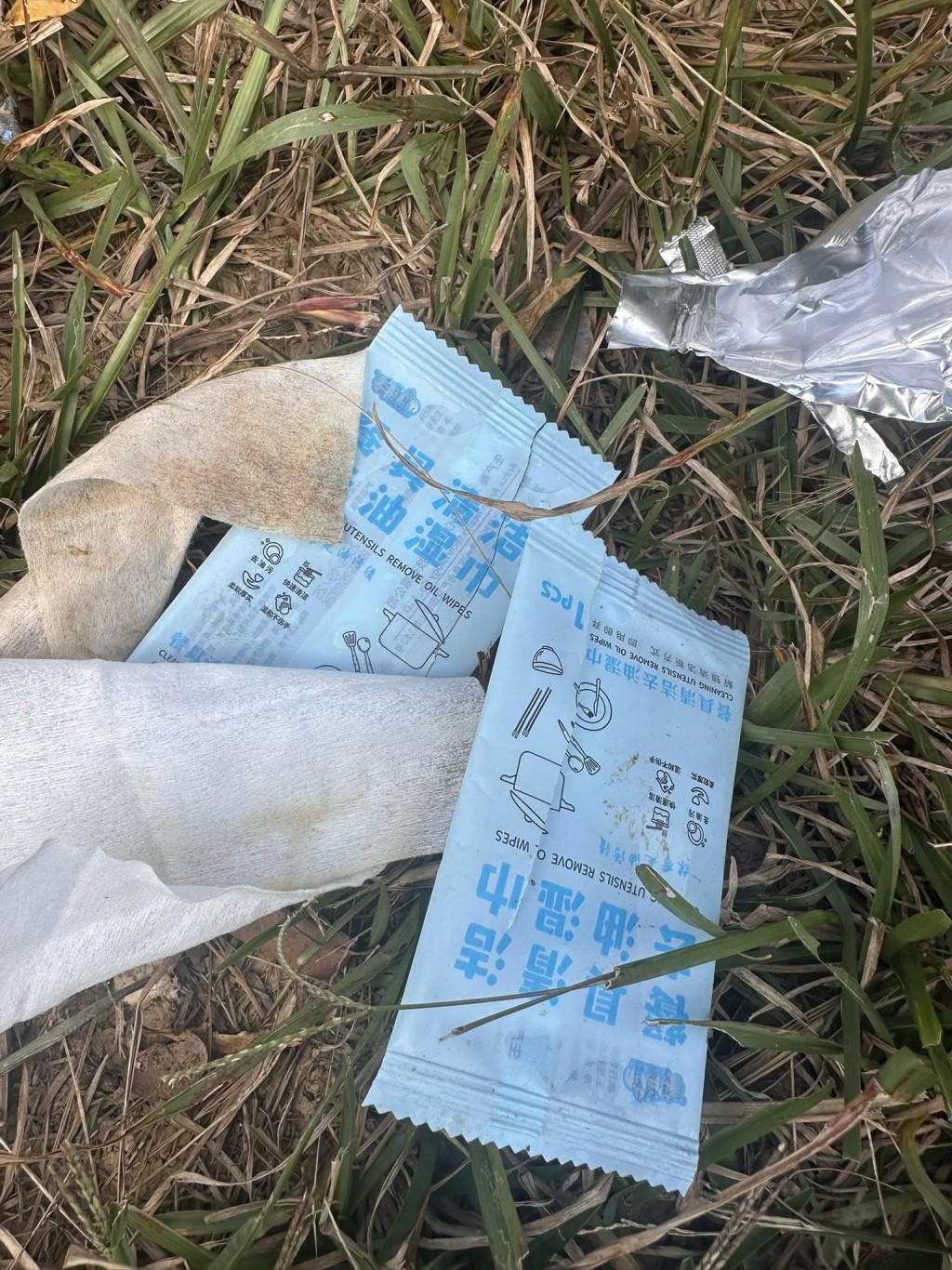 他指周五晚上大草坡一帶不時傳來普通話和廣東話混雜的驚叫聲、趕走野豬的叫罵聲,以及嬉鬧聲。 他指周五晚上大草坡一帶不時傳來普通話和廣東話混雜的驚叫聲、趕走野豬的叫罵聲,以及嬉鬧聲。