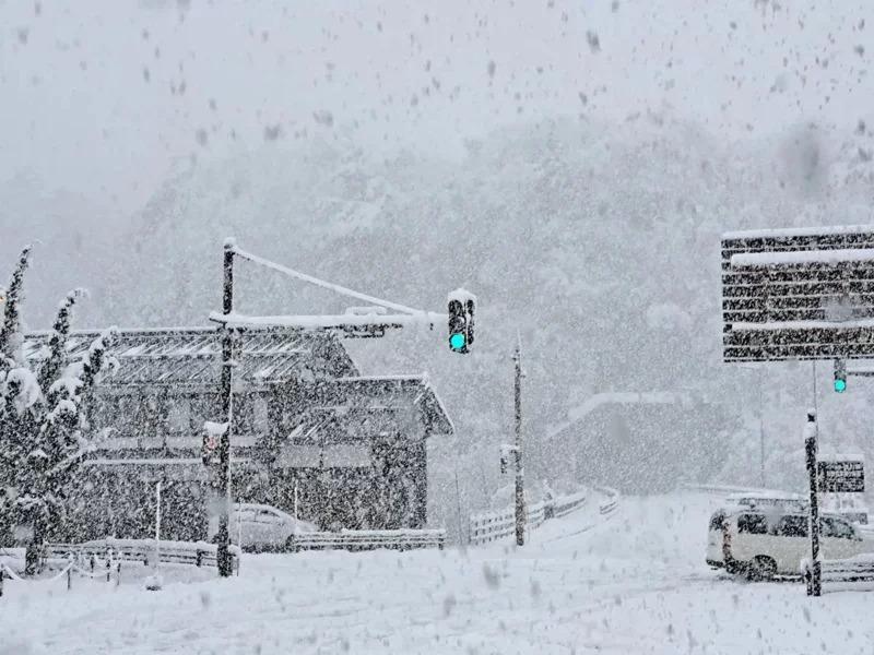 以合掌造聚落闻名的岐阜县白川村也降下大雪。网上图片