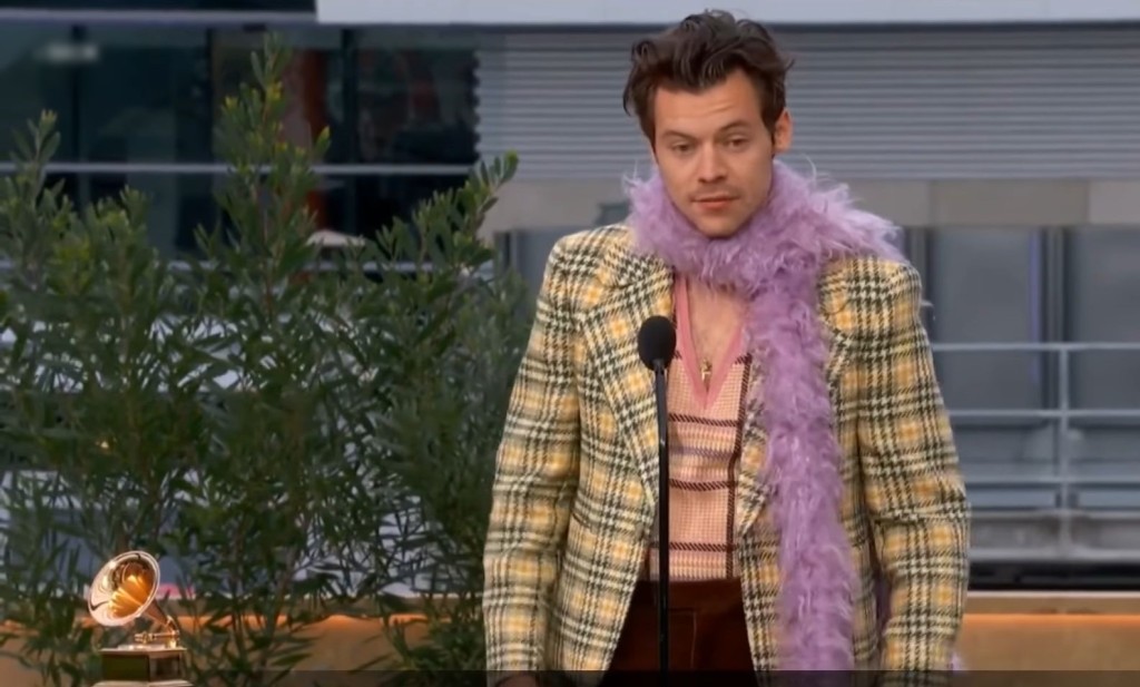 Harry Styles憑歌曲《Watermelon Sugar》勇奪「最佳流行歌手」。