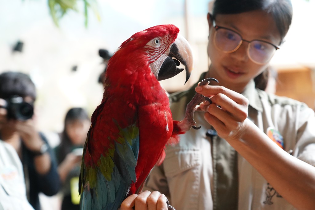 動物護理員更會分享照顧牠們的有趣點滴。 （圖：葉偉豪攝）