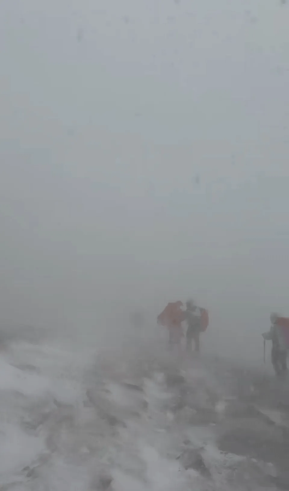 五台山五月飞霜，可不是一般的小雪。 极目新闻
