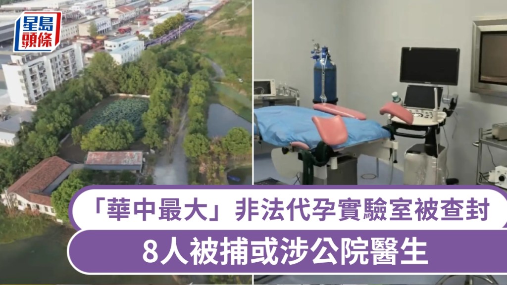 武漢搗「華中最大」非法代孕實驗室，8人被捕。 封面新聞