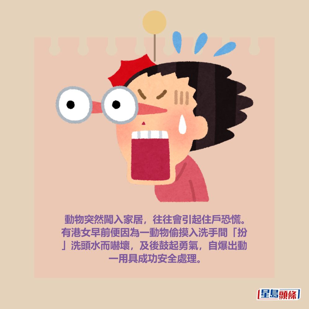 動物突然闖入家居,往往會引起住戶恐慌。 有港女早前便因為一動物偷摸入洗手間「扮 」洗頭水而嚇壞,及後鼓起勇氣,自爆出動 一用具成功安全處理。 動物突然闖入家居,往往會引起住戶恐慌。 有港女早前便因為一動物偷摸入洗手間「扮 」洗頭水而嚇壞,及後鼓起勇氣,自爆出動 一用具成功安全處理。