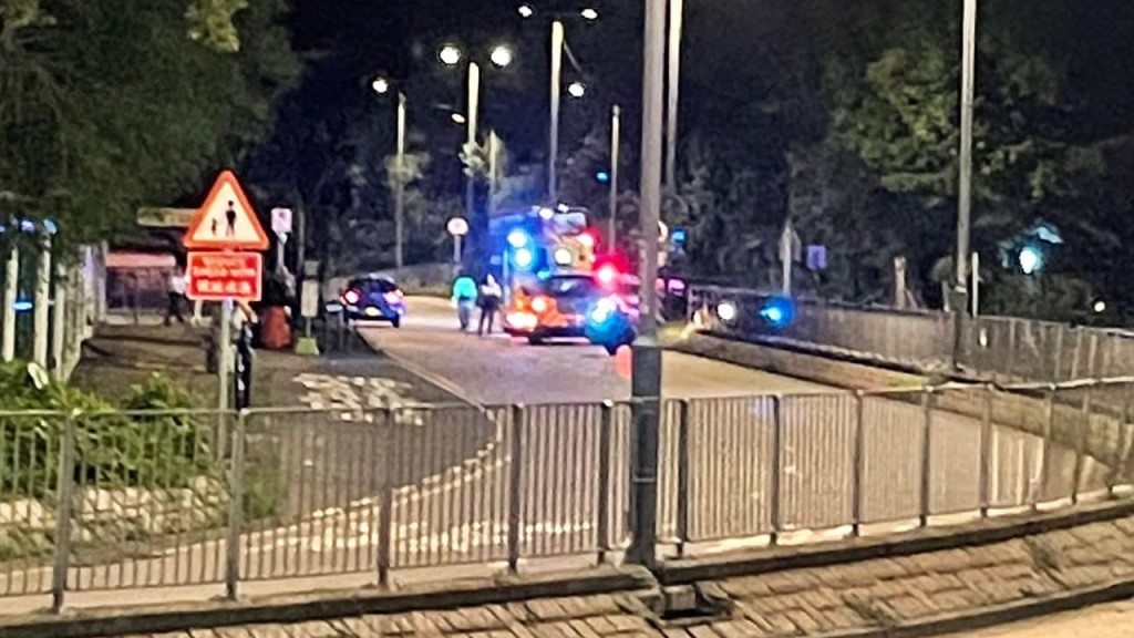 粉嶺酒駕男駛出停車場 撞倒過路途人被捕。馬路的事 (即時交通資訊台)FB
