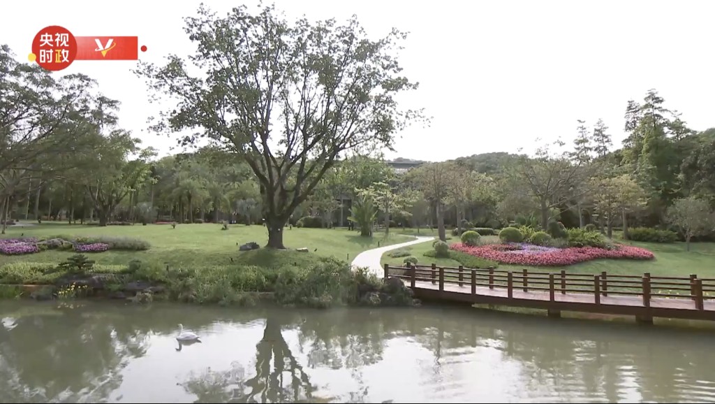 廣州松園景色。 央視截圖