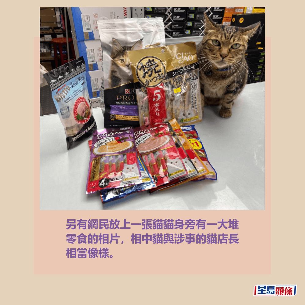 另有網民放上一張貓貓身旁有一大堆 零食的相片,相中貓與涉事的貓店長 相當像樣。Threads截圖 另有網民放上一張貓貓身旁有一大堆 零食的相片,相中貓與涉事的貓店長 相當像樣。Threads截圖