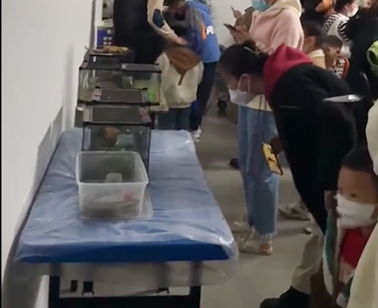 女子投訴所謂的「海洋館」只擺放了幾個魚缸，感到被騙。 網片截圖
