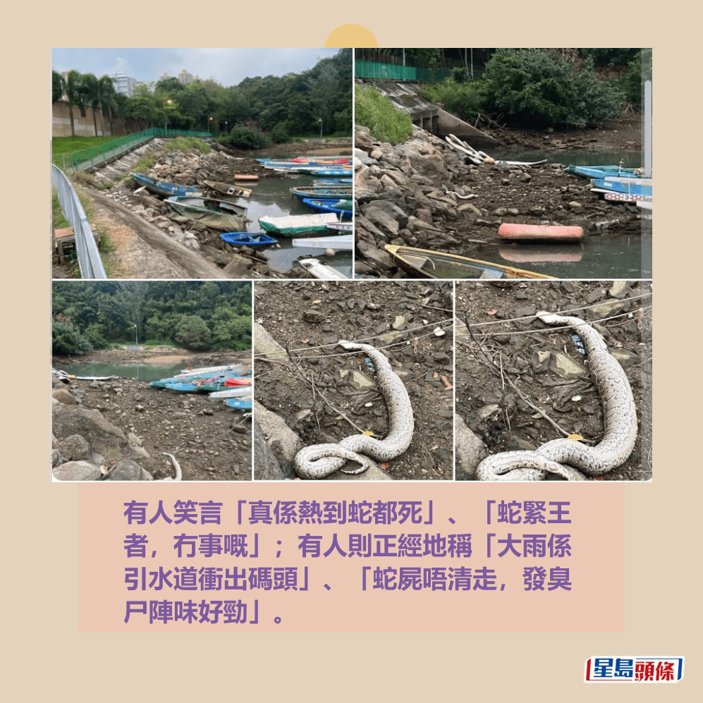 有人笑言「真係熱到蛇都死」、「蛇緊王 者,冇事嘅」;有人則正經地稱「大雨係 引水道衝出碼頭」、「蛇屍唔清走,發臭 尸陣味好勁」。fb「將軍澳主場」截圖 有人笑言「真係熱到蛇都死」、「蛇緊王 者,冇事嘅」;有人則正經地稱「大雨係 引水道衝出碼頭」、「蛇屍唔清走,發臭 尸陣味好勁」。fb「將軍澳主場」截圖