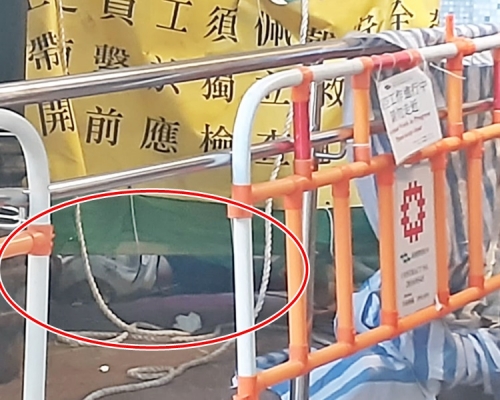 事主倒臥盛田樓對開（紅圈示）。