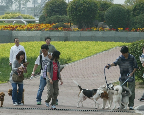 農業農村部表示狗已「特化」為伴侶動物,不宜列入畜禽管理。 資料圖片