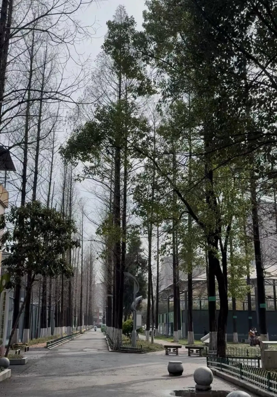 李林講述曾經和弟弟一起回家的必經之路。 李林講述曾經和弟弟一起回家的必經之路。