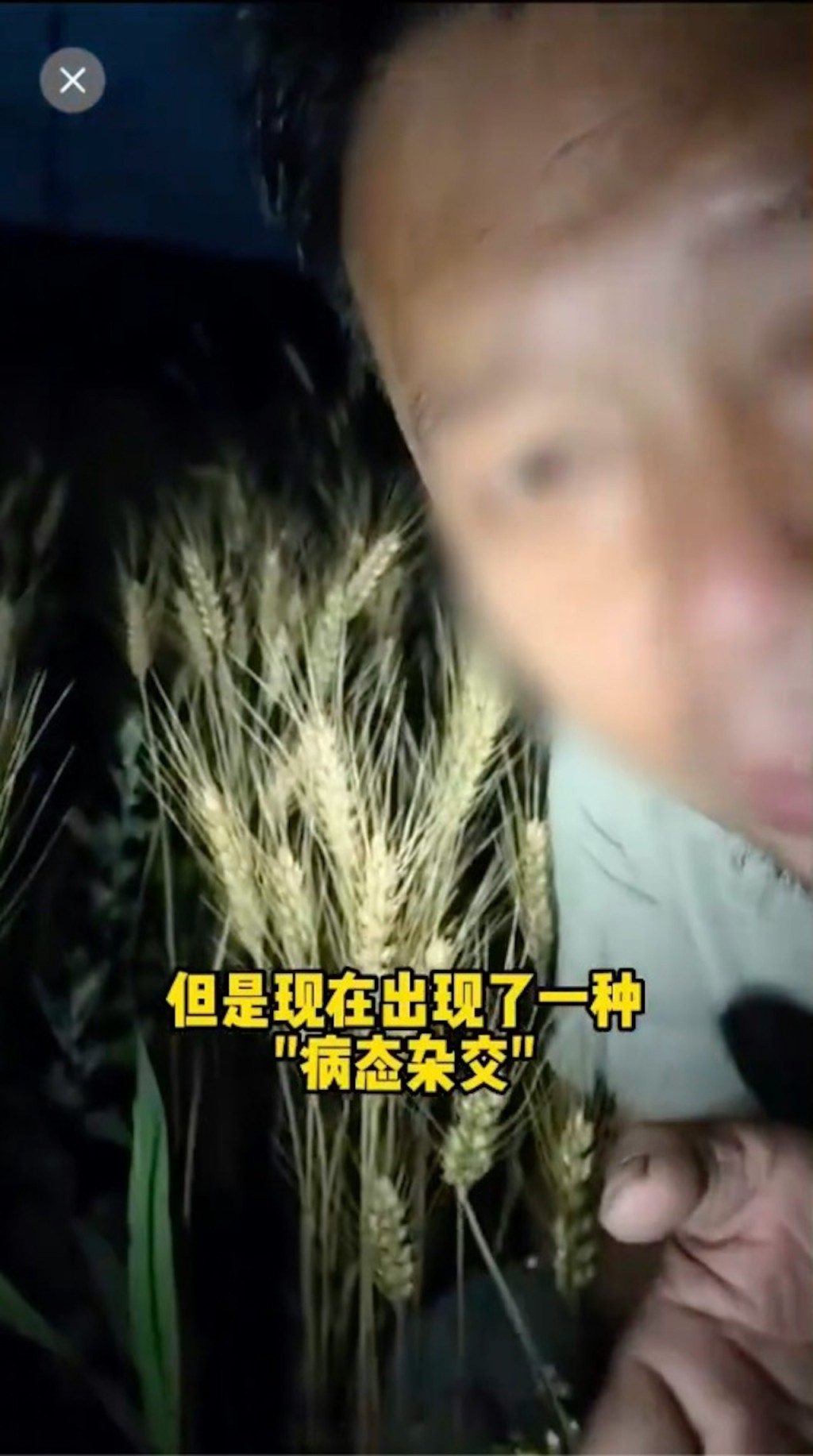 有農業網紅詆譭袁隆平被無限期封號。